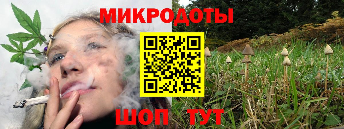 Галлюциногенные грибы мицелий Тверь