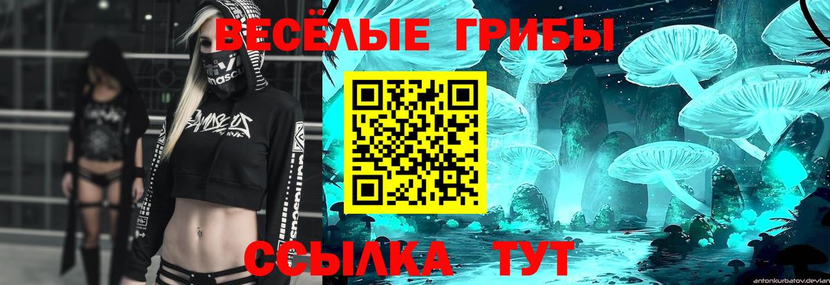 Тверь  Галлюциногенные грибы Psilocybe  Псилоцибиновые грибы мицелий  Вход с VPN 